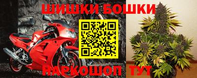 прущая мука Брянск