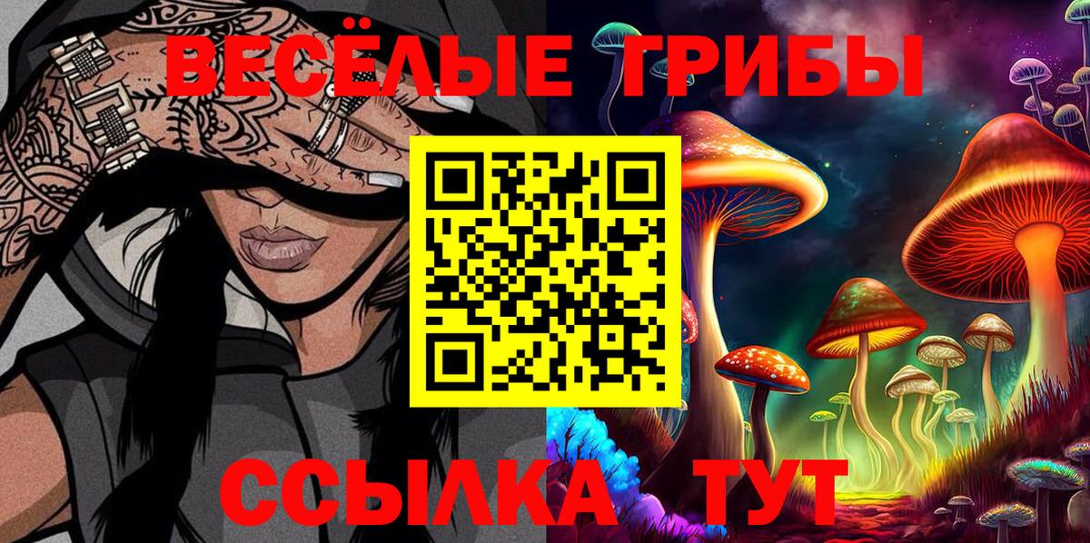 Галлюциногенные грибы мухоморы Волгоград